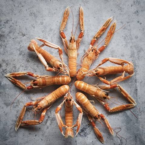 Les langoustines